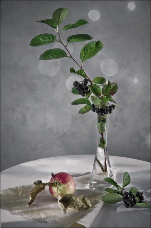 Memories...photo preview