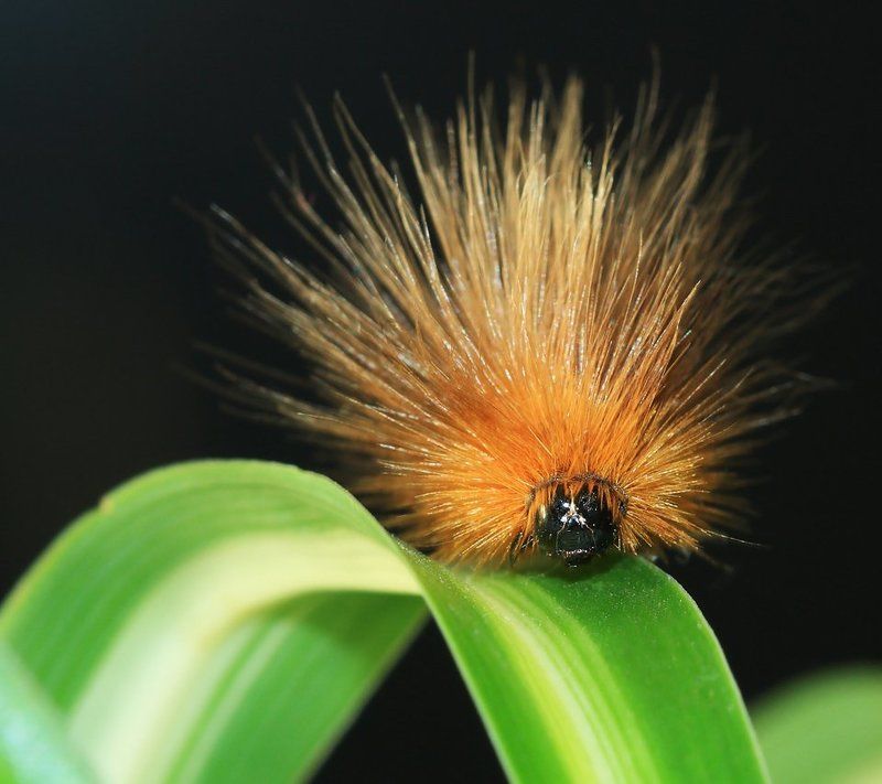 Безумный электрик )))photo preview