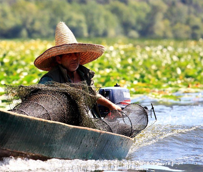 crna gora, skadarsko jezero Skadarsko jezero фото превью