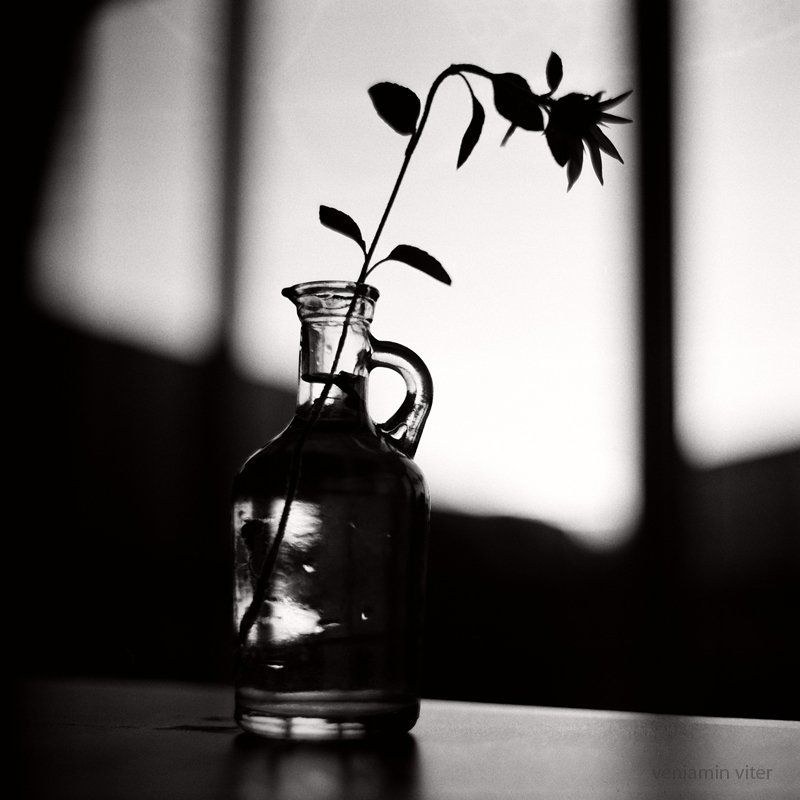 натюрморт, киев 60, *photo preview