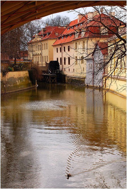 город, прага Пражские зарисовки (2)photo preview