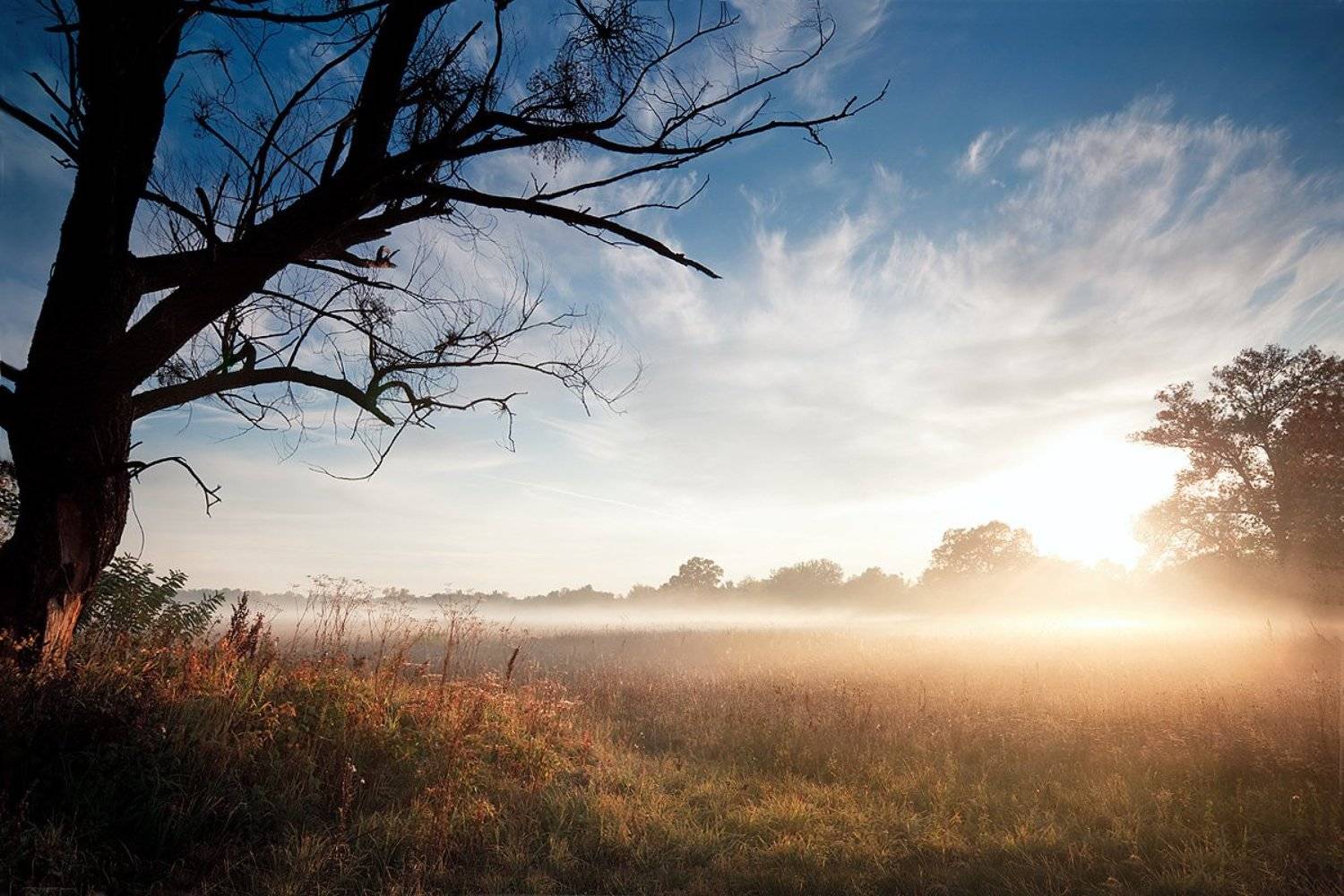 , Роман Николаев