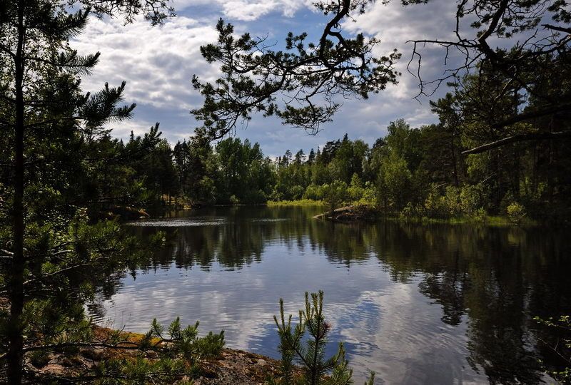 ладожское озеро, карелия *  *photo preview