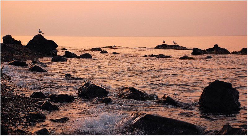 утро, рассвет, восход, берег, чайки, море_черное До восхода Солнца семь минутphoto preview