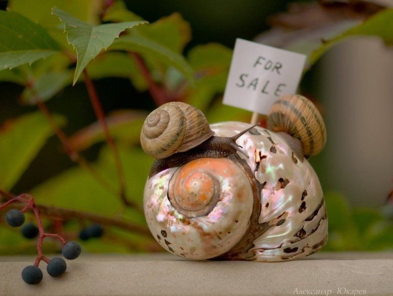 Ипотекаphoto preview