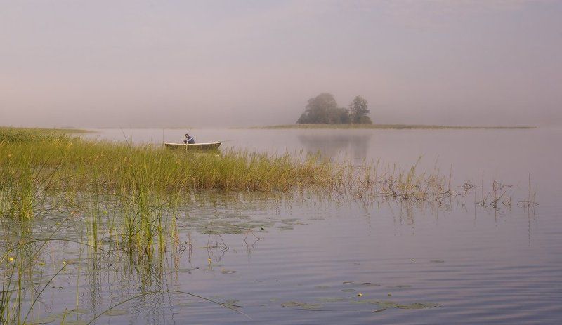 В рассветном туманеphoto preview