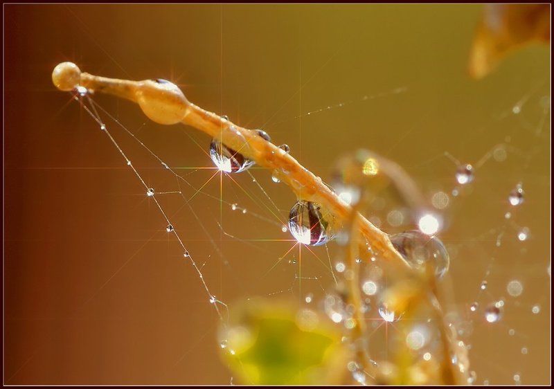 макро,капли,вода, Спиннинг.photo preview