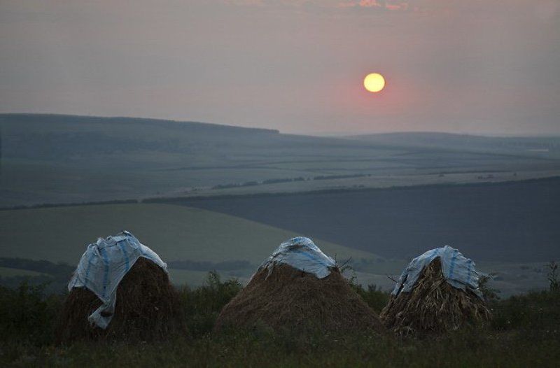 сено, стоги, закат Три стога.photo preview