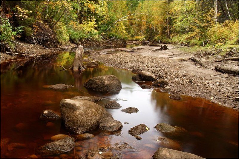 осень К осениphoto preview