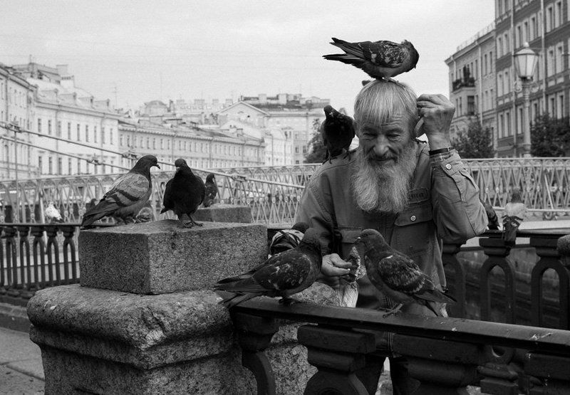 Дед Мазай и...photo preview