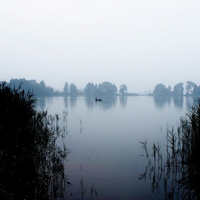 Silencephoto preview