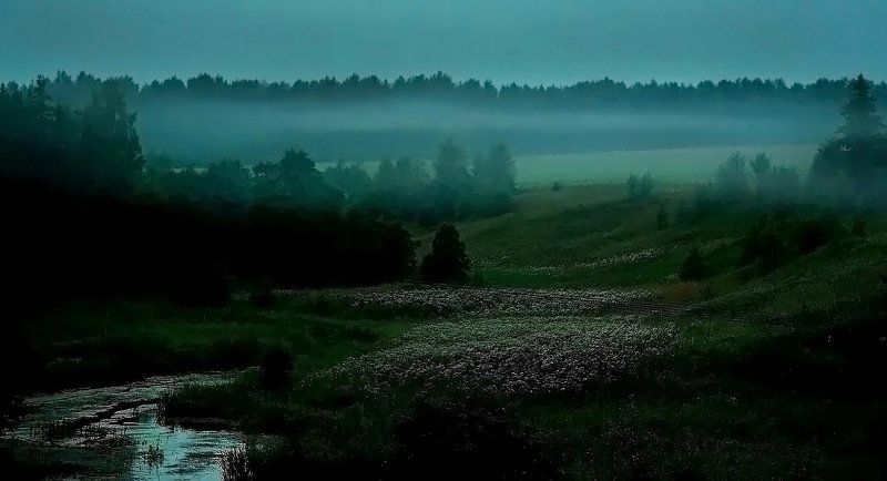 Короткие сине-туманные июльские ночиphoto preview