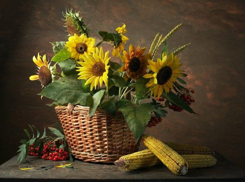 цветы,подсолнухи,ягоды,рябина,лето Любимые подсолнушки...photo preview