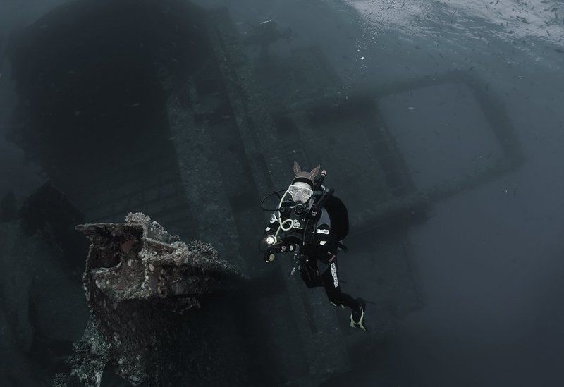 красное море, рэк, джаннис ди, оксана музыка Рэк с Музыкой - Джаннис Диphoto preview