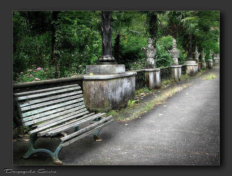 Аллея...photo preview