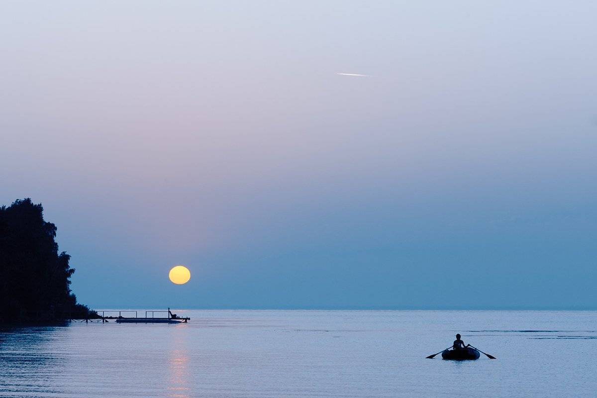 , Роман Николаев