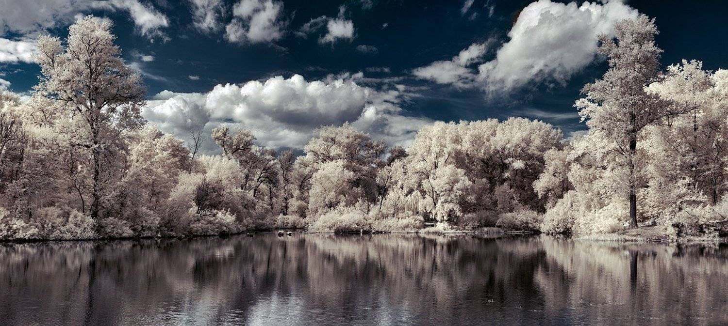 , Марк Пономаренко