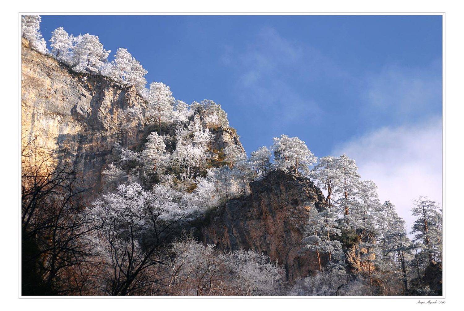 Серебро. Автор: Чебурашка иней,деревья,гуамское ущелье,мороз,утро, Чебурашка