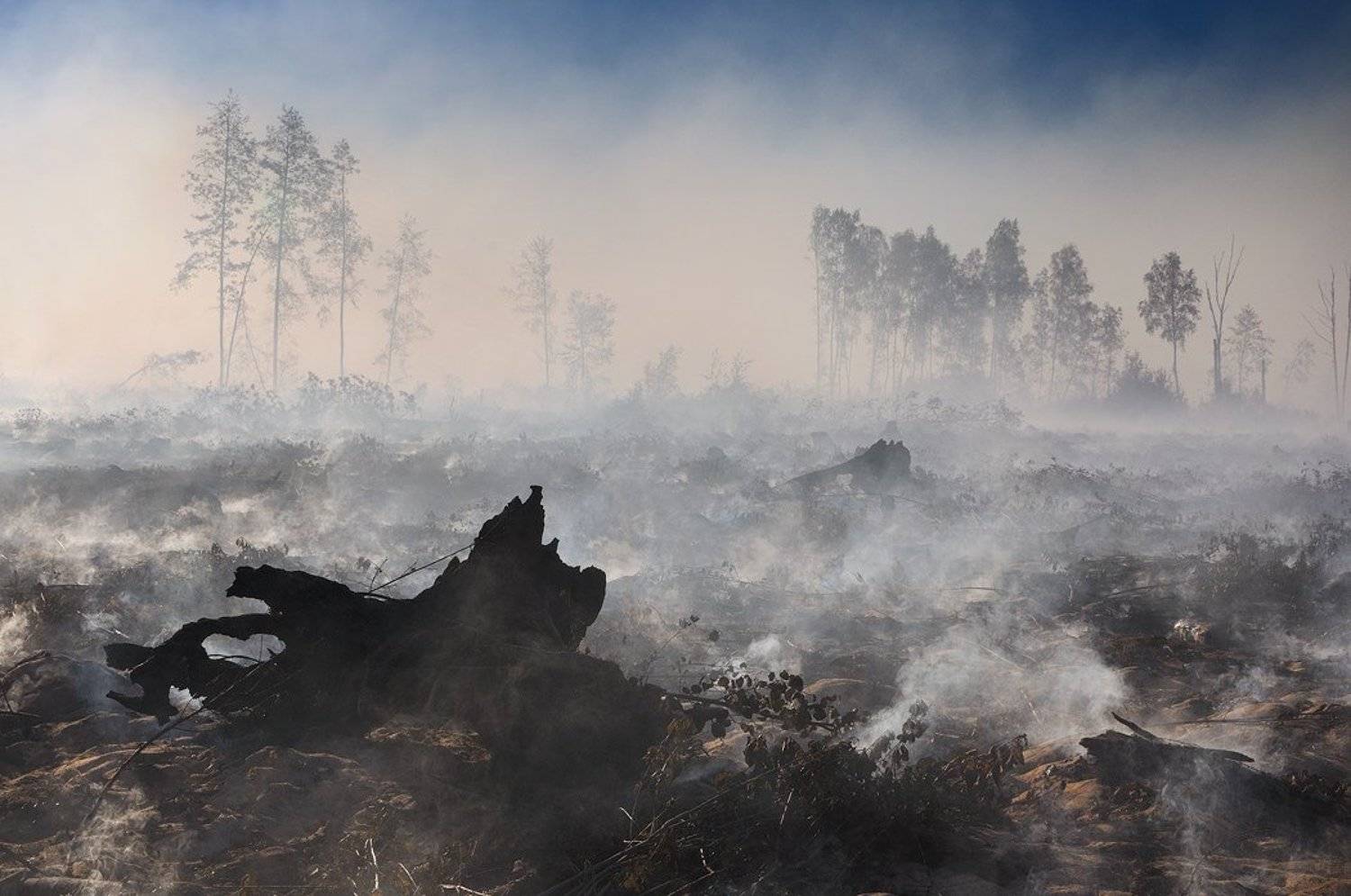 , Владимир Кириллов