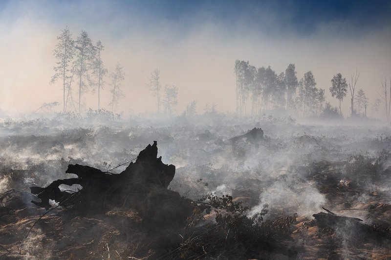 Мертвое полеphoto preview