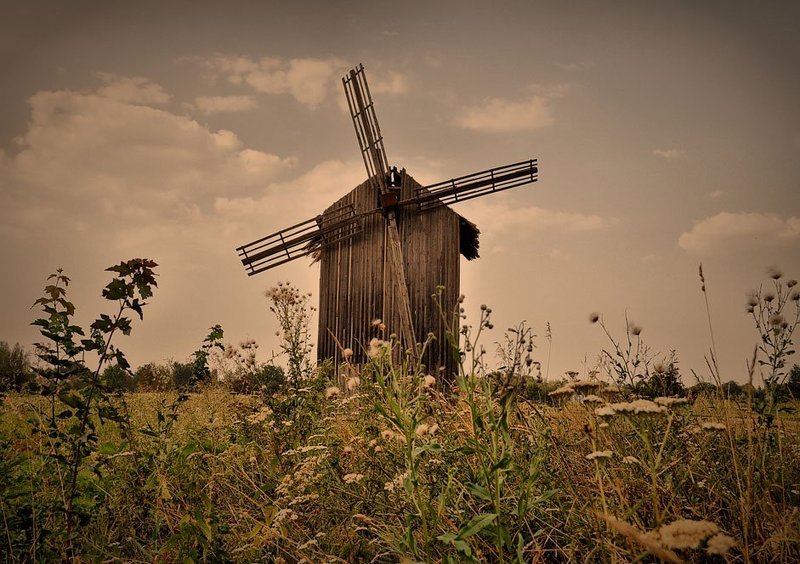 ...близ Дыканьки...photo preview