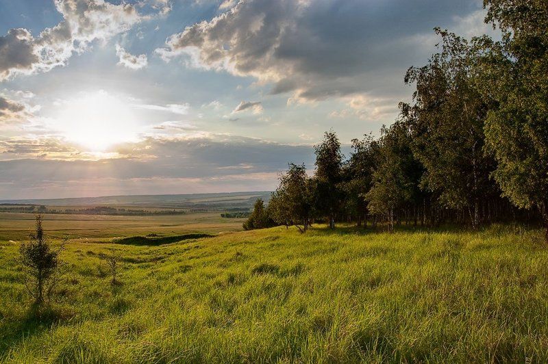 Родные просторыphoto preview