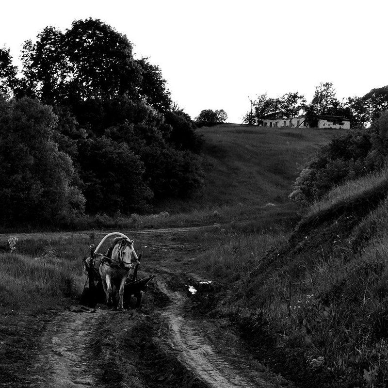 Пасторалькаphoto preview