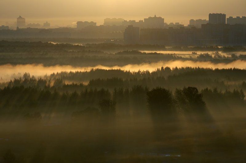 morning ...photo preview