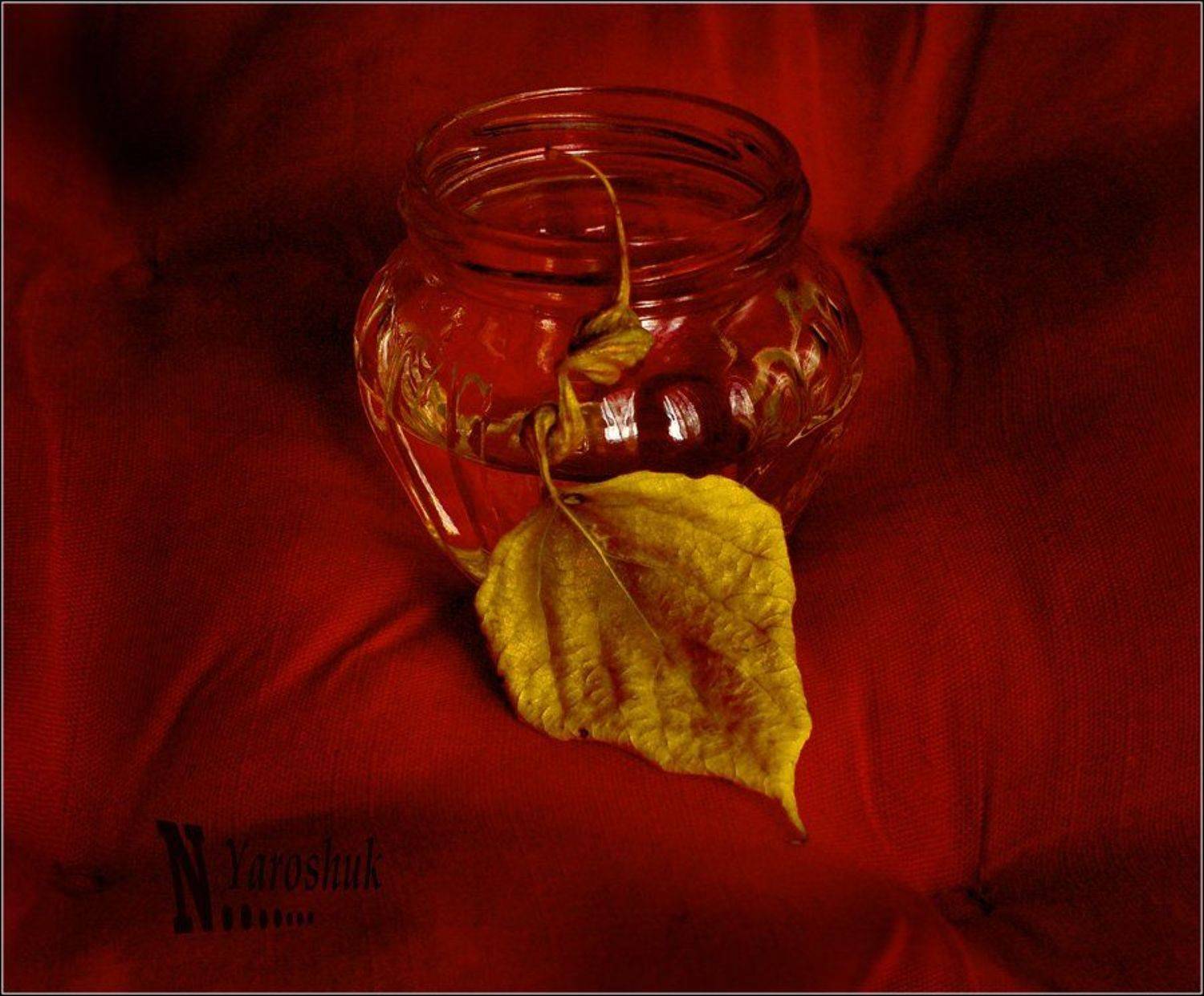 осень, листья, nyarosh