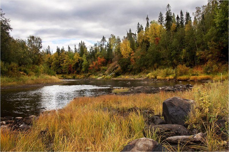 осень Осеньphoto preview