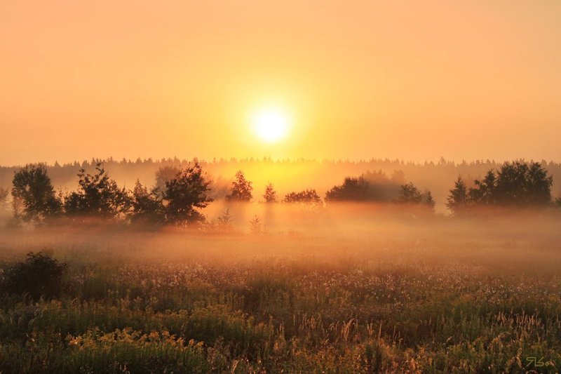 А я еду, а я еду за туманом...photo preview