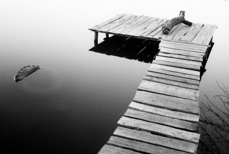 Утро...photo preview