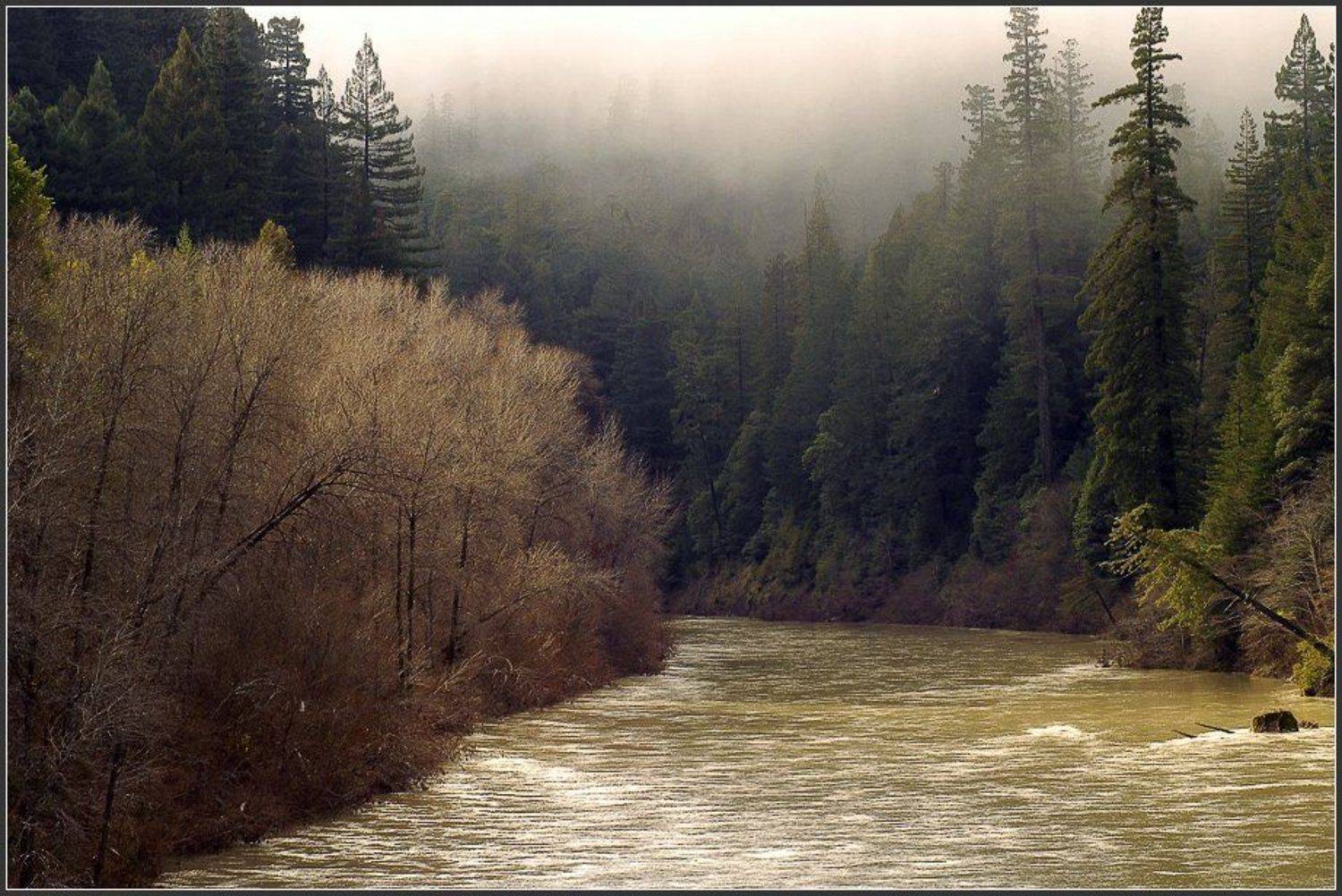 Январь - не всегда время снежное. Автор: Alexandre Michourovskii , Alexandre Michourovskii