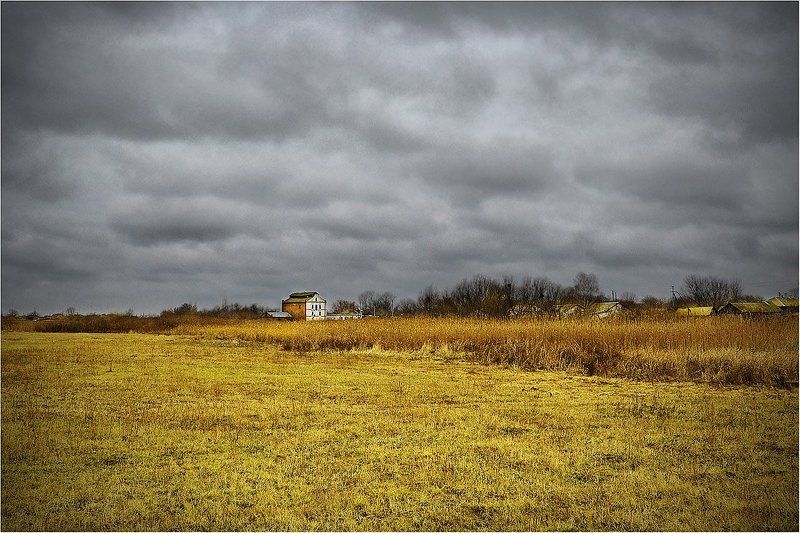 осень, поле, пейзаж Однажды в ноябреphoto preview