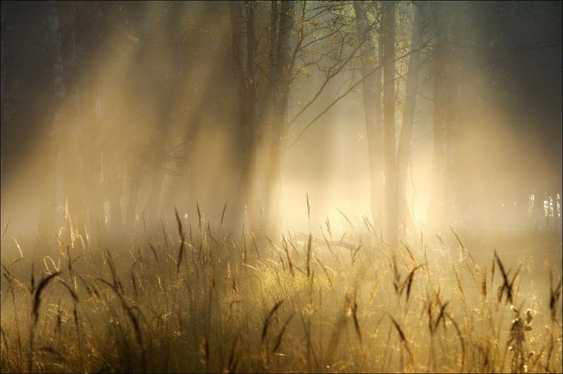 Пробуждение осениphoto preview