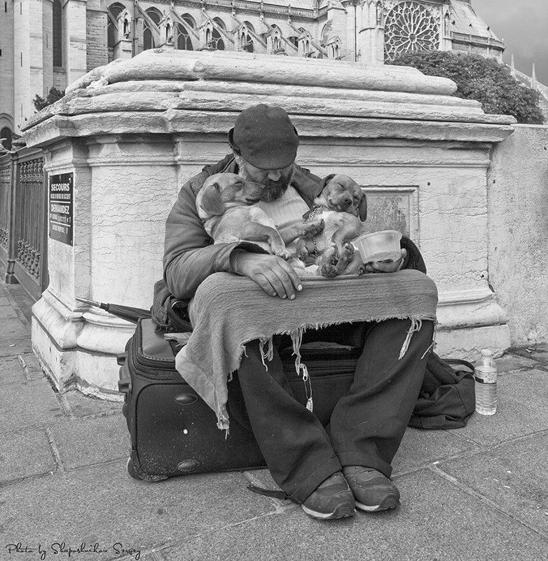 трое у Нотр-Дам де Париphoto preview