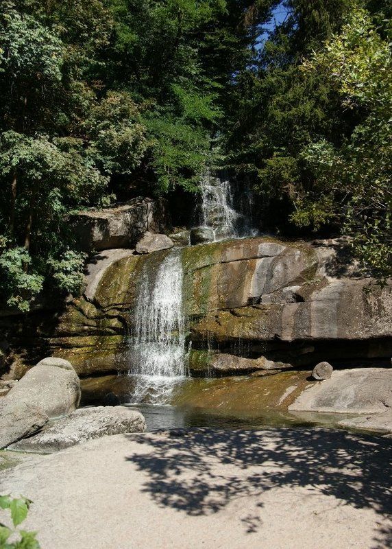 ручей Лесной ручей фото превью