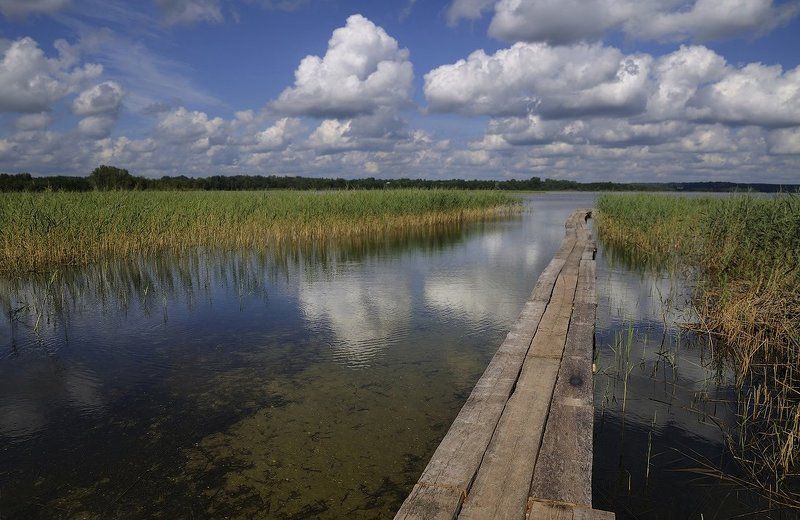 озеро, струсто, белорусь, браслав Гляжу в озера синие...photo preview