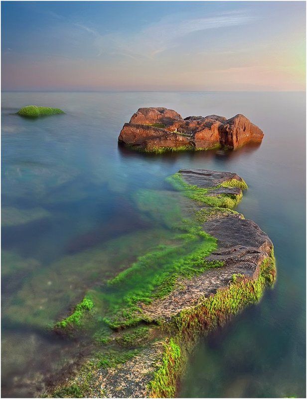 рассвет, море, камень, водоросли ***photo preview