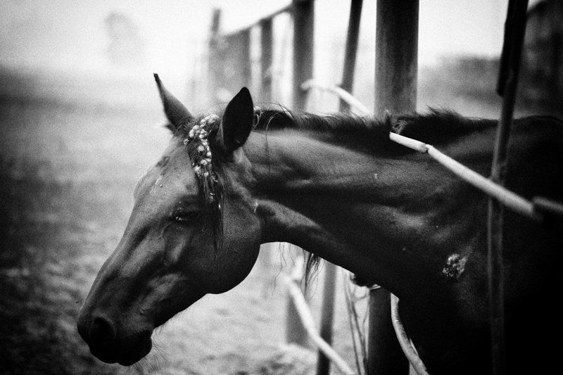 Грусть...photo preview