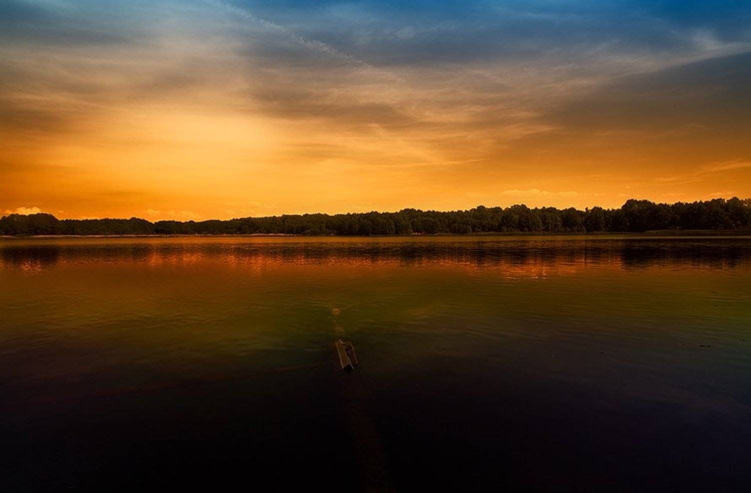 ..... Автор: Агнесса , Агнесса