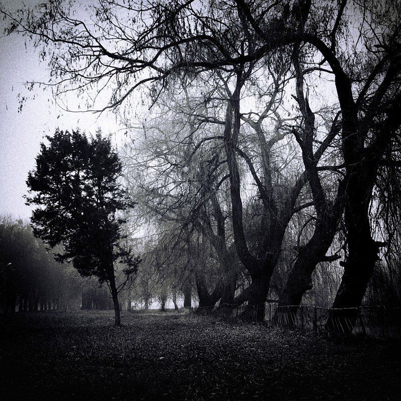 The Onephoto preview