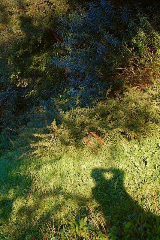 Люди отбрасывают не только тениphoto preview