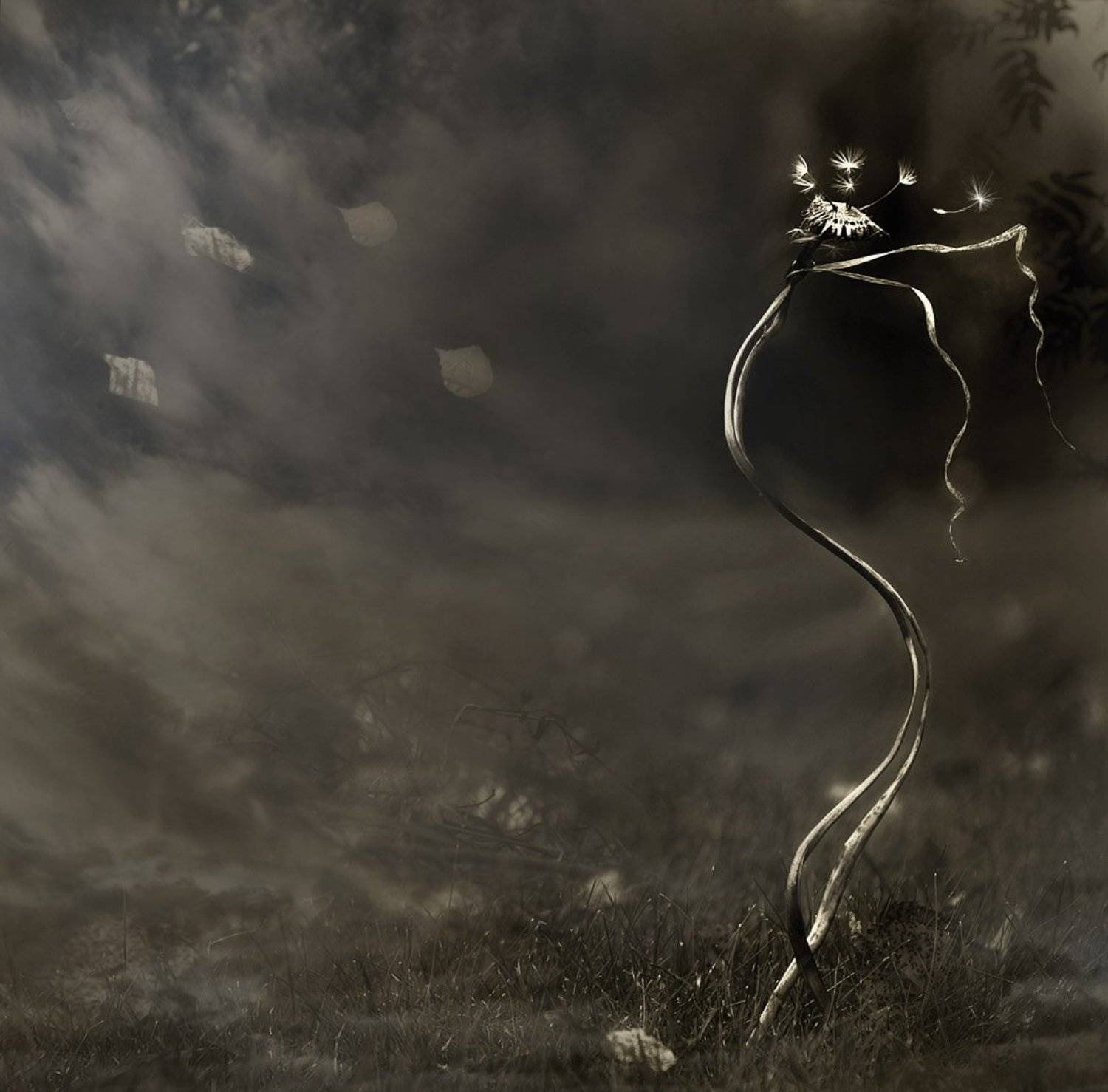 жизнь, смерть, лето, одуванчик, лёгкость, грусть, печаль, Татьяна Гориловская