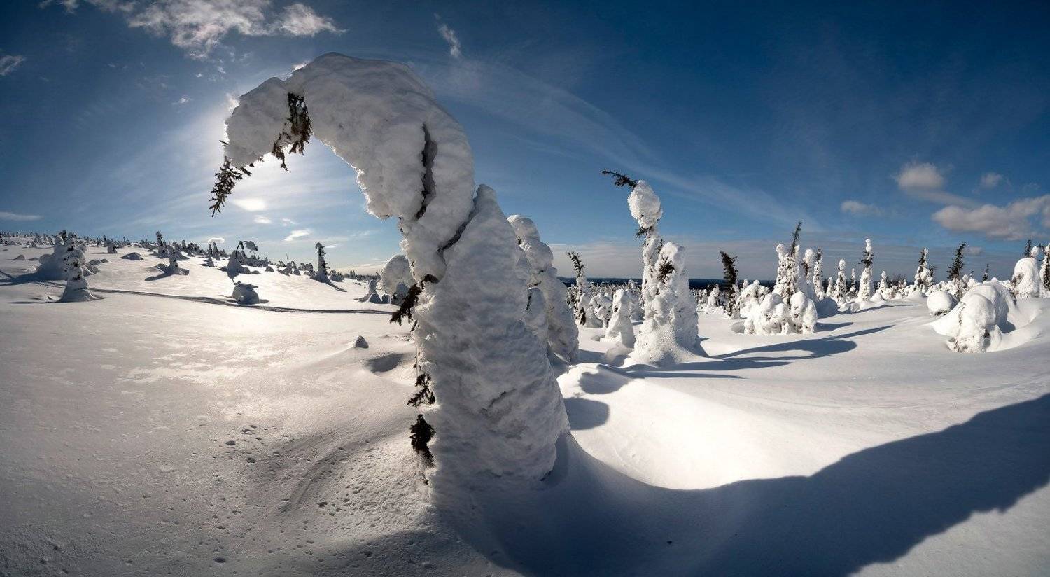 ПРЕКЛОНЕНИЕ или ВОСПОМИНАНИЕ О ЗИМЕ.... Автор: Yuri Ovchinnikov , Yuri Ovchinnikov