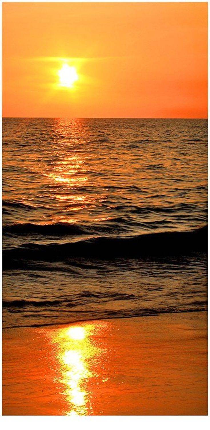 Простая закатная. Автор: German , German