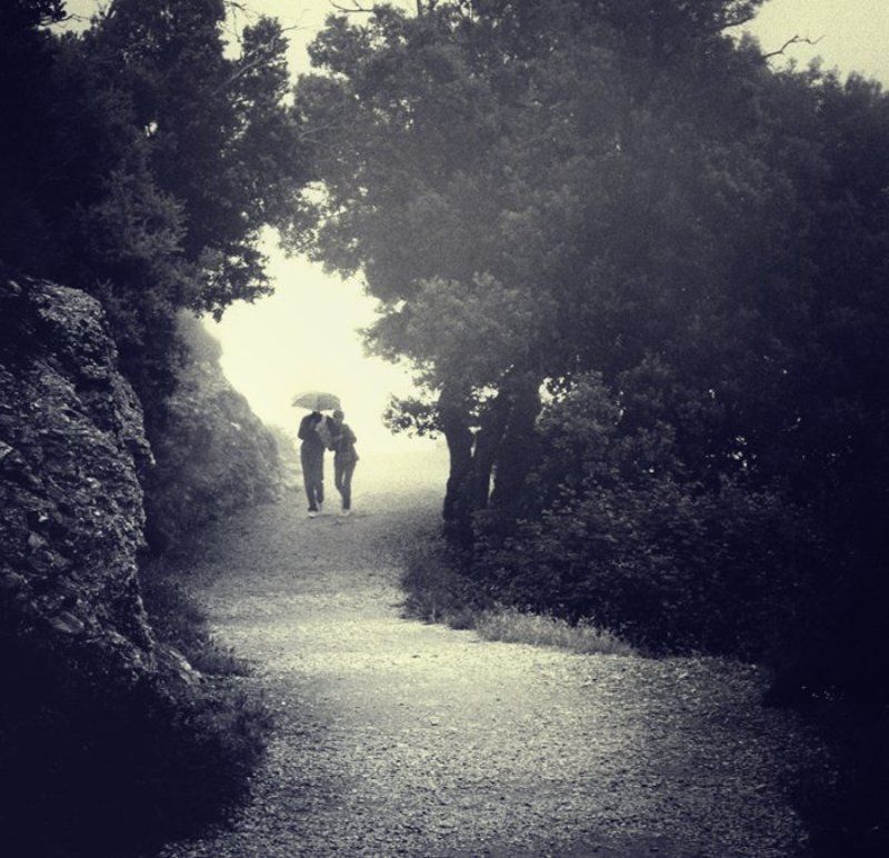 Хокку о дождеphoto preview