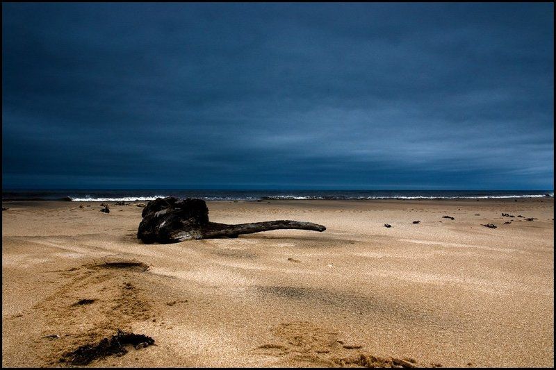 геометрия дереваphoto preview