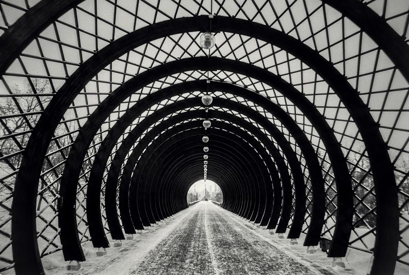 Пушкинский мостphoto preview