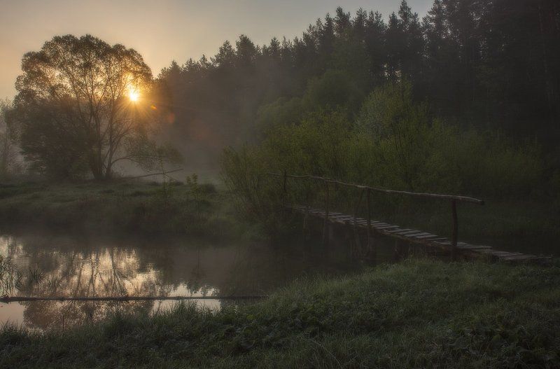 Весеннее утро...photo preview